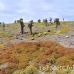 island_plaza_south_spz_h_0183_ecu1882.jpg